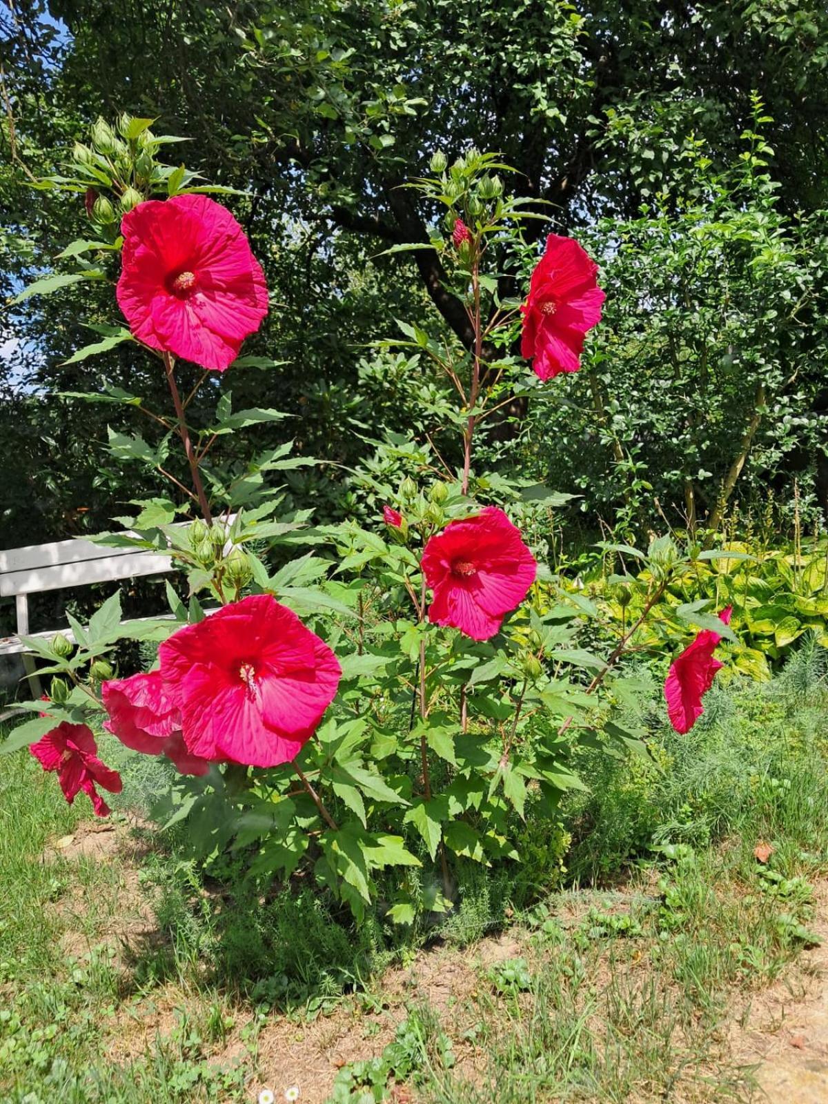 Agroturystyka Nad Bobrem Pilchowice Dış mekan fotoğraf