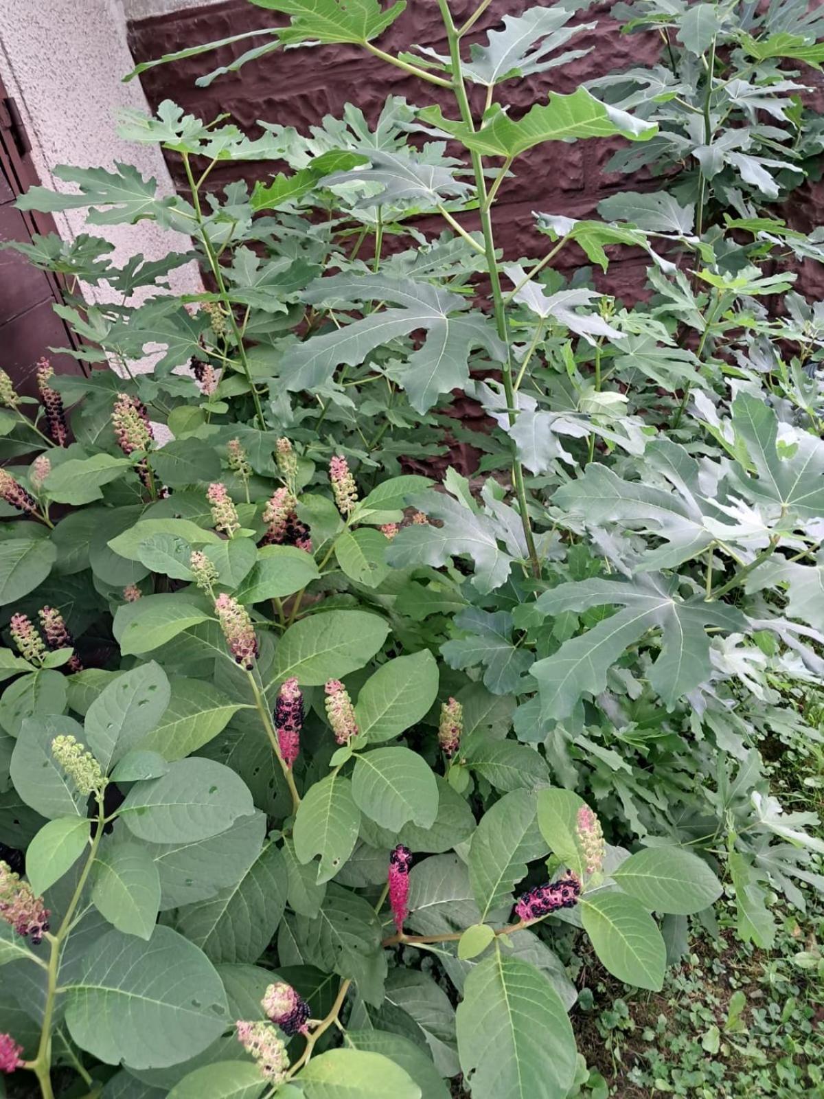 Agroturystyka Nad Bobrem Pilchowice Dış mekan fotoğraf